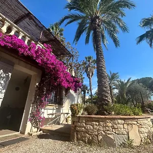 Les Palmiers Fréjus